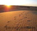 Tour in Morocco 4x4, Camel Trekking in the Desert